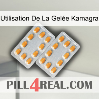 Utilisation De La Gelée Kamagra cialis4